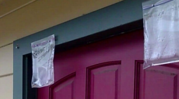 זאת הסיבה שאתם חייבים לתלות שקית מים מעל הדלת שלכם במהלך הקיץ