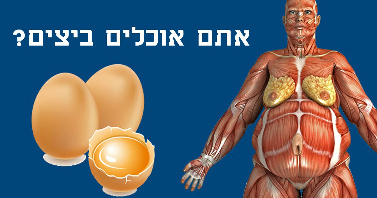 רופאים חושפים: זה מה שקורה לגוף שלכם כשאתם מתחילים לאכול שתי ביצים ביום