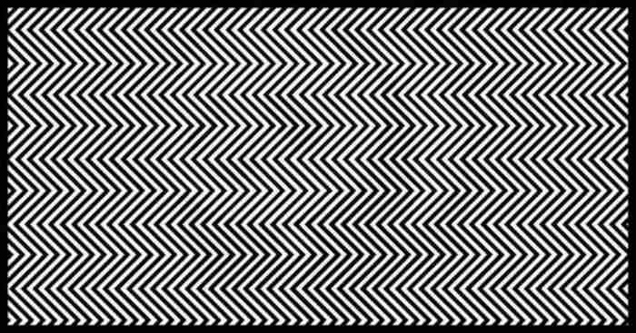 רק 1% מצליחים למצוא את החיה שמסתתרת בתמונה, אתם אחד מהם?