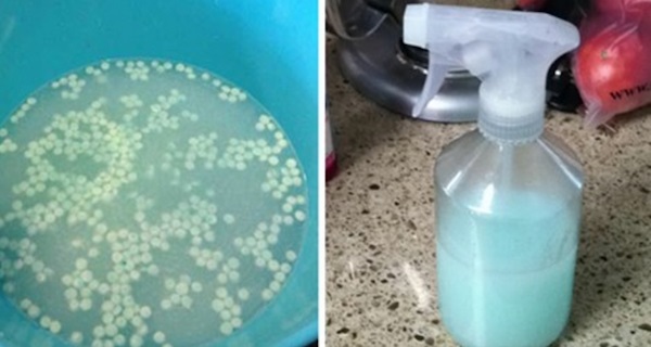 הבית שלו תמיד מריח נפלא ומרענן. והסוד שלו ידהים אתכם לגמרי. אני הייתי בהלם!