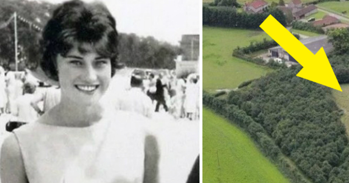 הבעל שתל 6000 עצי אלון לזכרה של אישתו המנוחה – 17 שנים אחר כך הסוד שלו נחשף באמצע היער