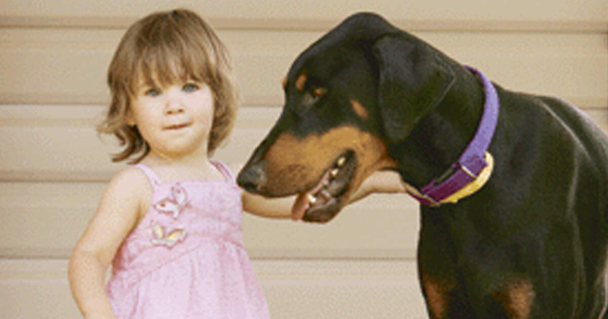 אמא הייתה מזועזעת כשהכלב שהצילו השליך את הילדה לאורך הדשא – הסתכלה מקרוב ונחרדה מהאמת