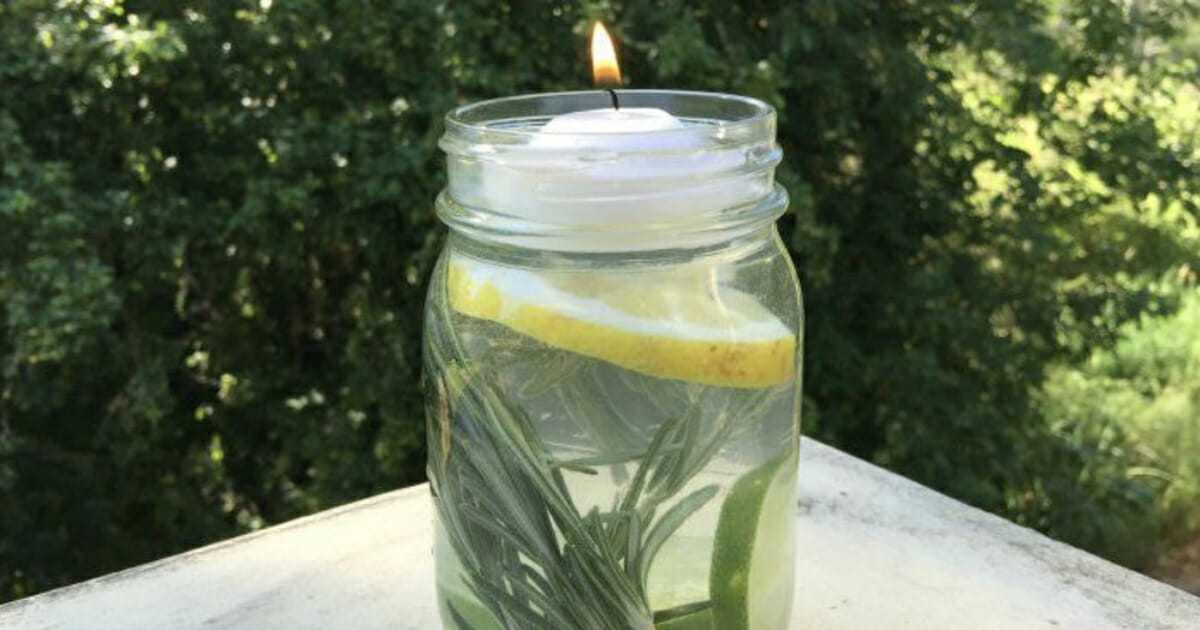 הרחיקו את היתושים הקיץ הזה בעזרת דוחה היתושים הטבעי והפשוט הזה