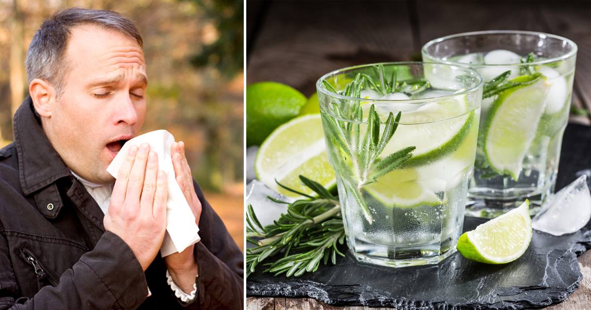 מדענים מאשרים: תרופת הקסם שתעזור לכם להימנע מצינון ושפעת בחורף – ג'ין וטוניק