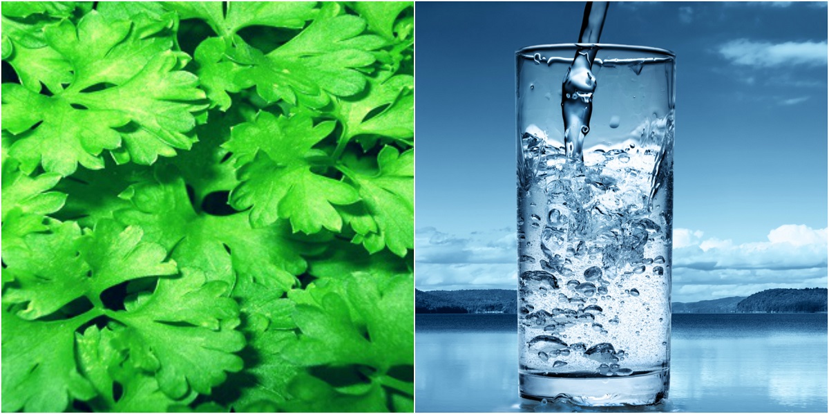 זאת הדרך הזולה והיעילה ביותר לנקות את המים שלכם מאלומיניום, כלור, ליתיום ופלואוריד