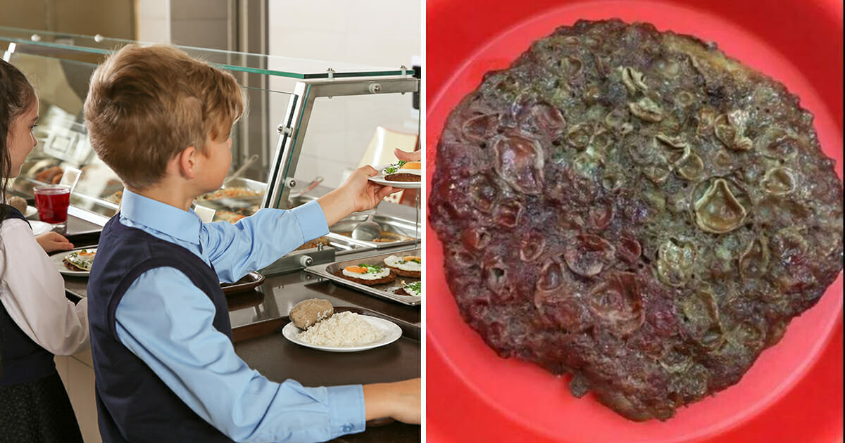 ארוחת הצהריים המגעילה של התלמיד הפכה ויראלית ברשת, אז מפקח בית הספר סיפר מה זה