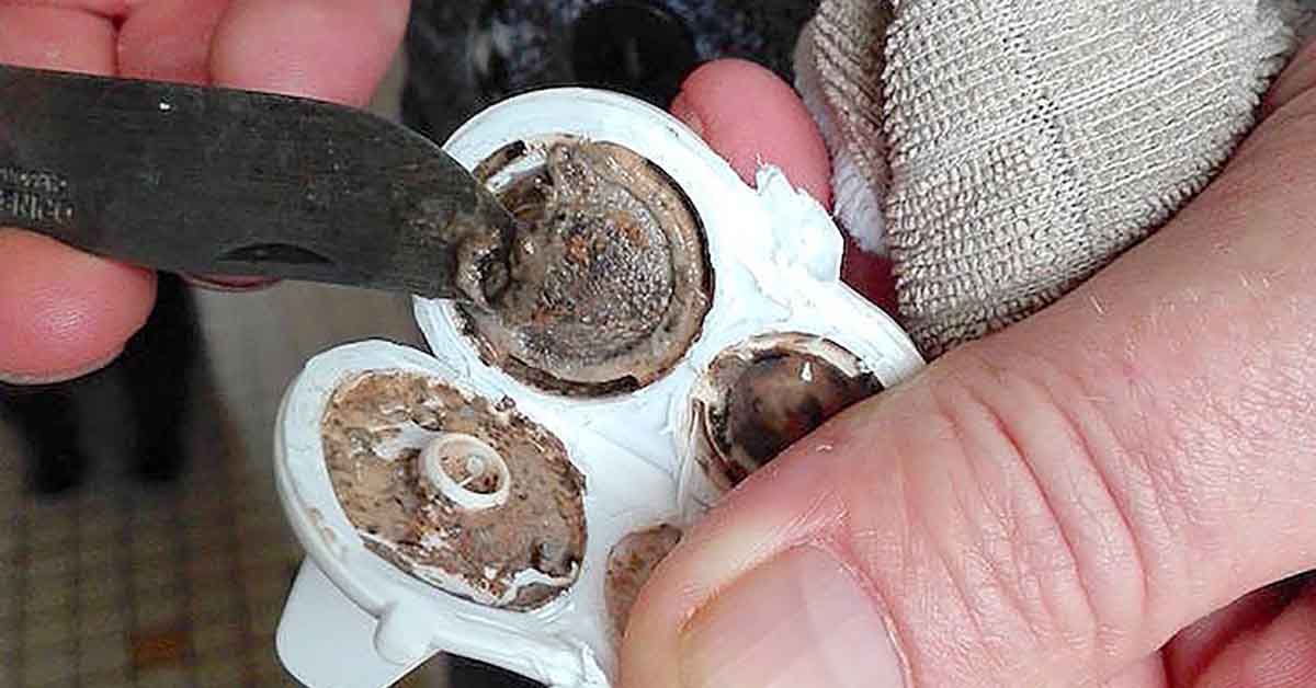 התינוק שלה כל הזמן היה חולה. אז היא פתחה את הבקבוק שלו והזדעזעה ממה שראתה