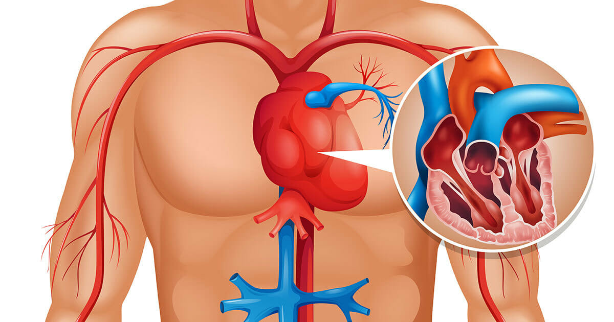 הגוף שלכם מזהיר אתכם חודש לפני התקף לב – הנה הסימן הנסתר שכולם צריכים להכיר